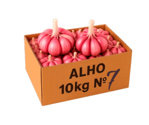 Alho-Imagem 2