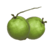 Coco Verde