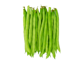 Vagem Macarrão 12kg